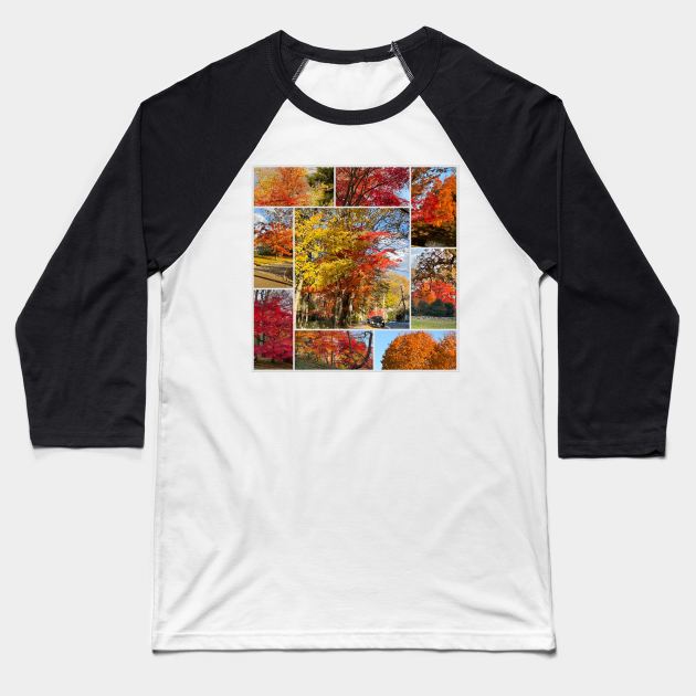 Foliage Collage Baseball T-Shirt by Barschall